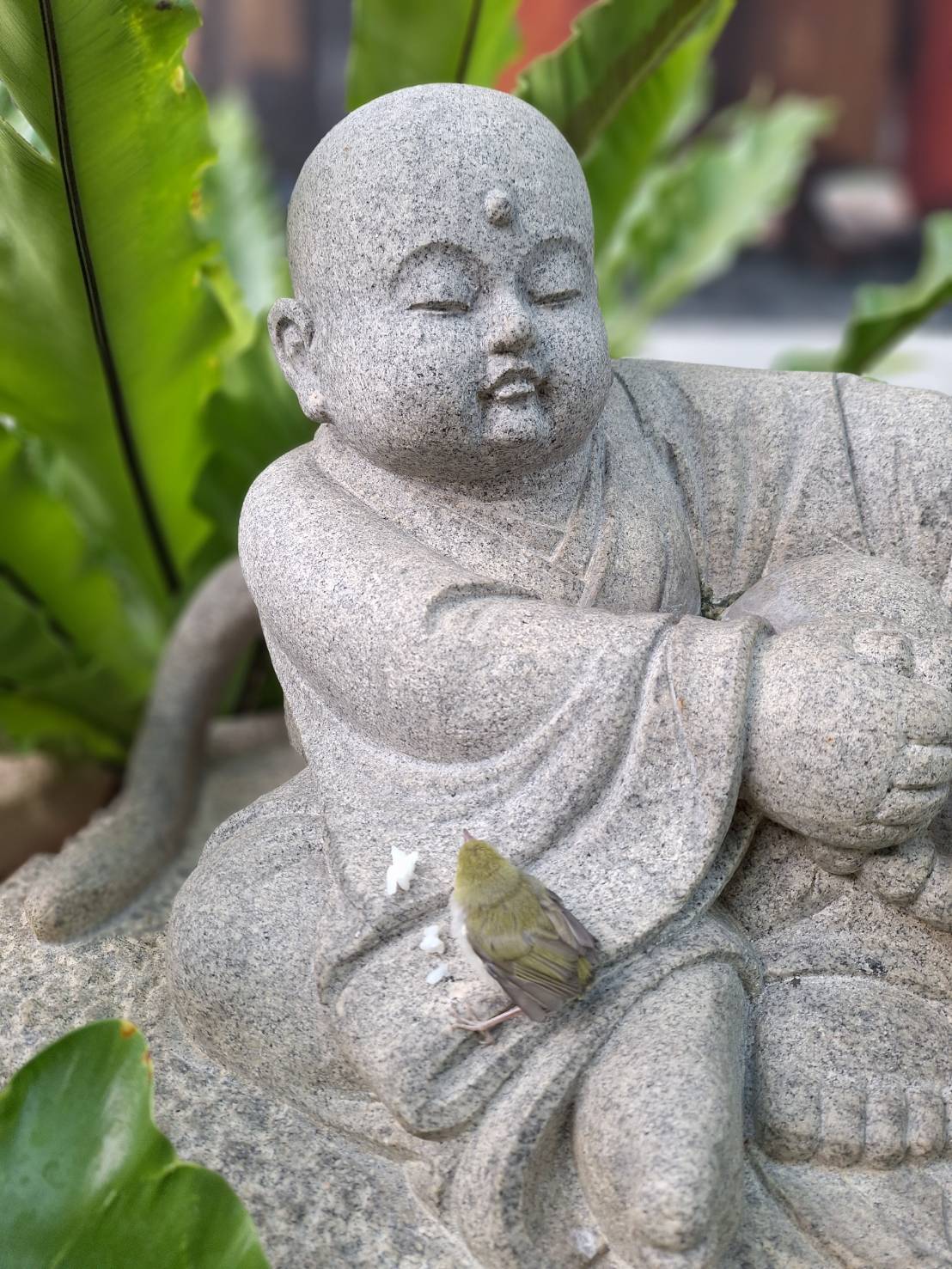 出食由來